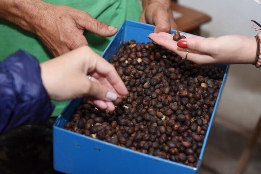 Rural Coffee Farm Tour with Breakfast & Lunch - Roasting & Tasting Experience