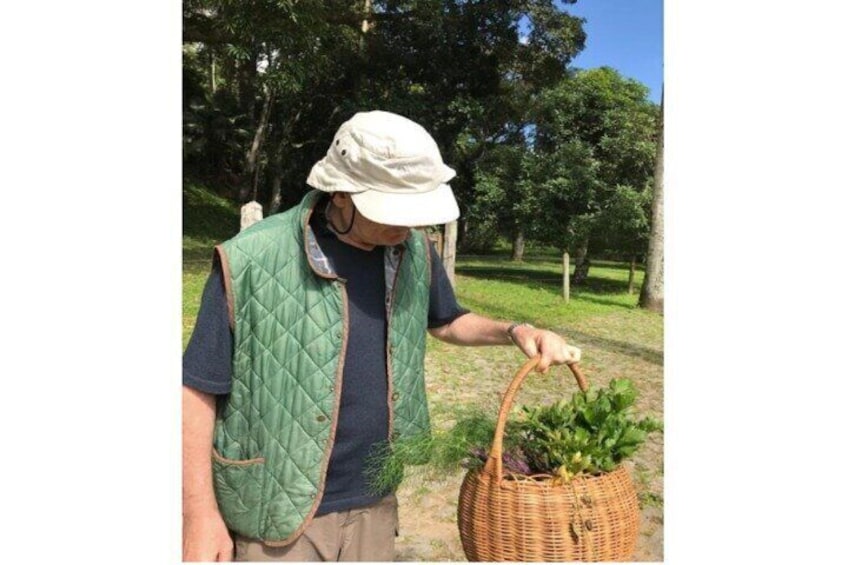 Rural Coffee Farm Tour with Breakfast & Lunch - Roasting & Tasting Experience
