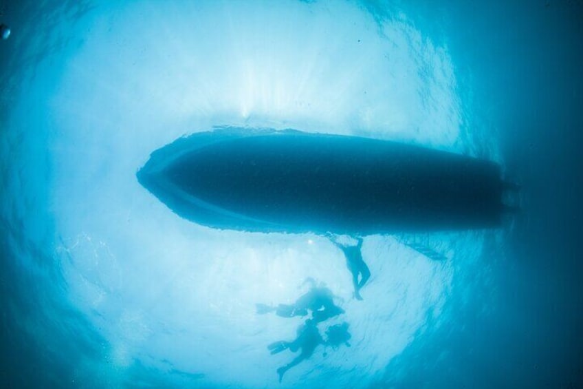 Scuba Diving Arcos or Marietas Vallarta Undersea