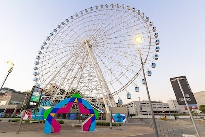 Rio de Janeiro Ferris Wheel Ticket - Yup Star