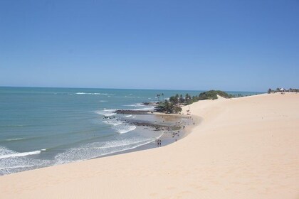 Buggy North Coast - Genipabu- Christmas Exit