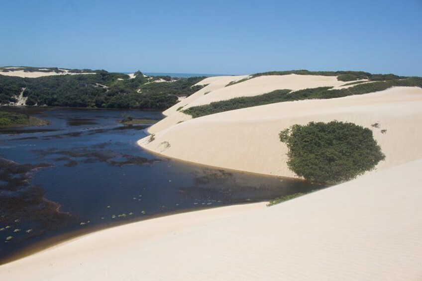  North Coast Buggy with Fees - Genipabu- Natal Outing