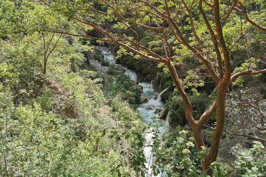 Hot Springs in Tolantongo Full-Day Tour with Typical Lunch