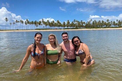 Tour on Forte and Guarajuba Beaches, Leaving Salvador-Bahia