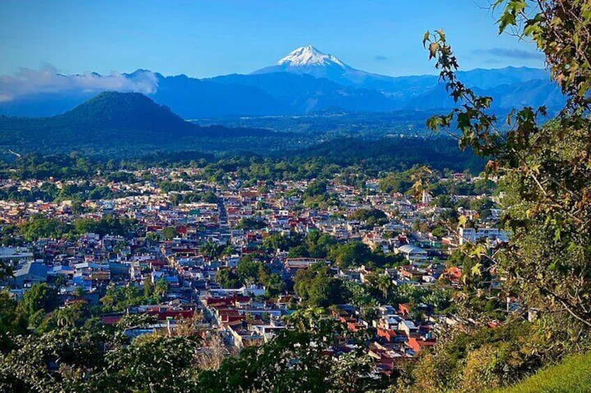 Xalapa and Coatepec Cultural Tour from Veracruz