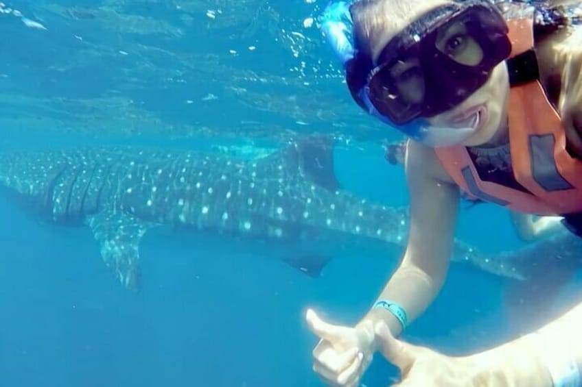Whale Shark Adventure in Isla Mujeres and Cancun