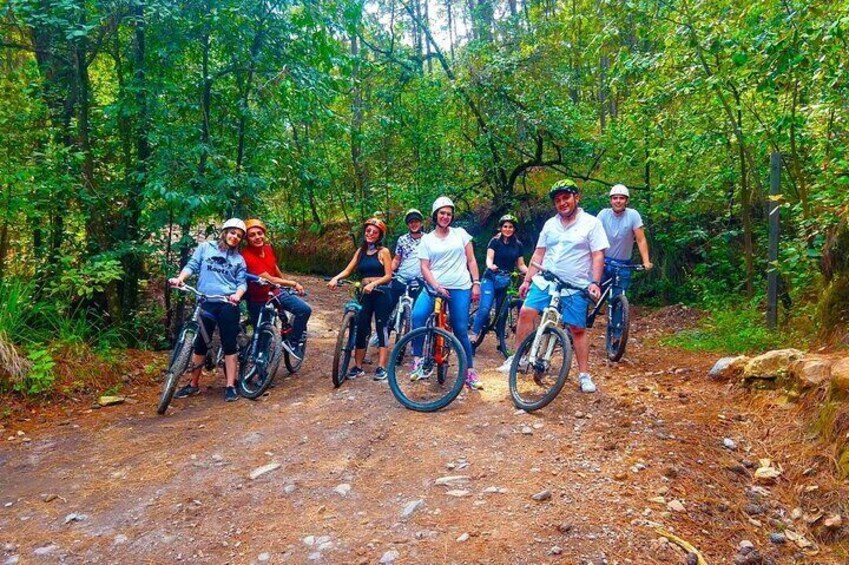 Bicycle in the forest