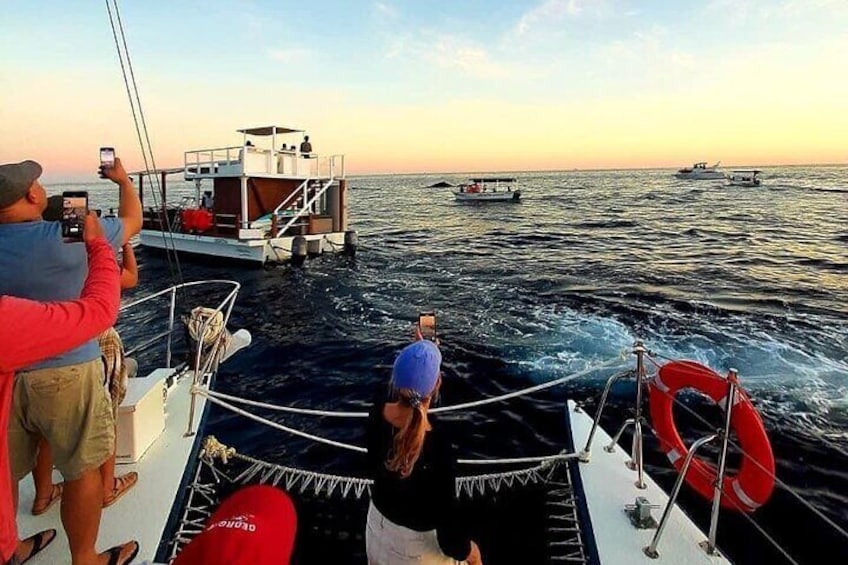 Sunset Cruise with Open bar and Snacks