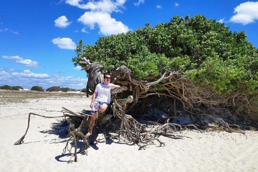 Full Day Tour to Jericoacoara from Fortaleza