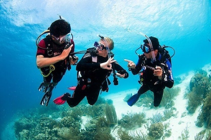 Two reef discovery dives with professional instructor (no experience necess...