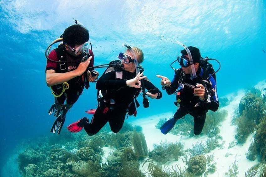 Two reef discovery dives with professional instructor (no experience necessary) 