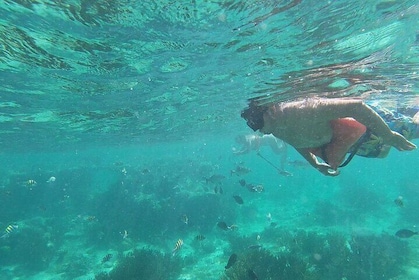 Isla Mujeres Snorkelling Adventure at the Underwater Museum