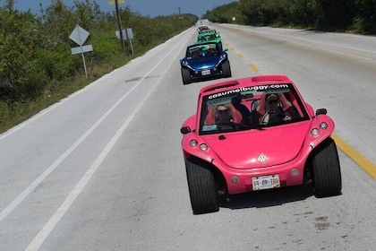 Discover Cozumel Island over Buggy with Transportation from Riviera Maya