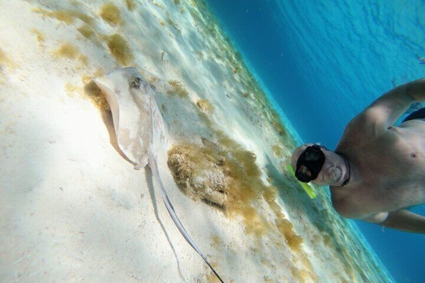 El Cielo reef by Catamaran with Beach Club