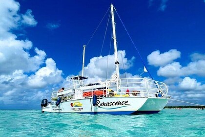 El Cielo Cozumel y Turtle Bay Snorkeling en Catamarán