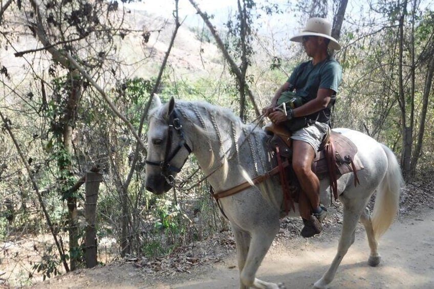Horseback Riding Experience in Sierra Madre Mountains