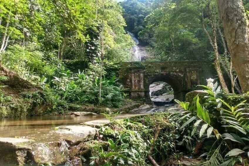 Private 6-hour Hiking Tour in the Tijuca Forest: Waterfalls, Viewpoints & Picnic