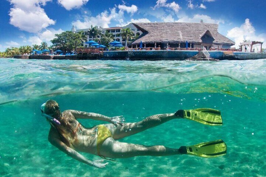 Catamaran Snorkeling to El Cielo and The Money Bar Beach Club