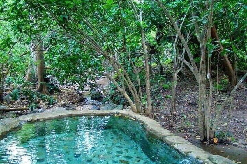 Shaded Hot Spring, Massage and Mex Grill in Puerto Vallarta