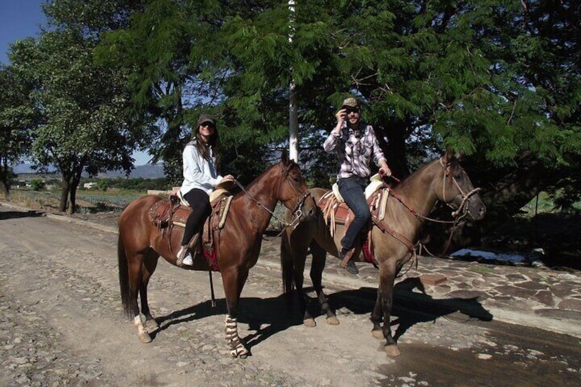 horseback riding agave Fiels