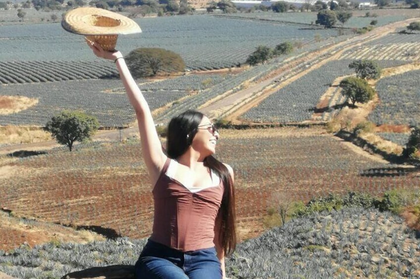 Horseback Riding Tour in The Agave Field with Lunch