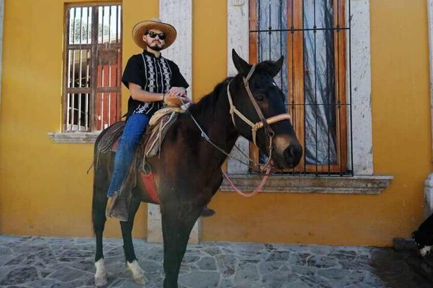 Horseback Riding Tour in The Agave Field with Lunch