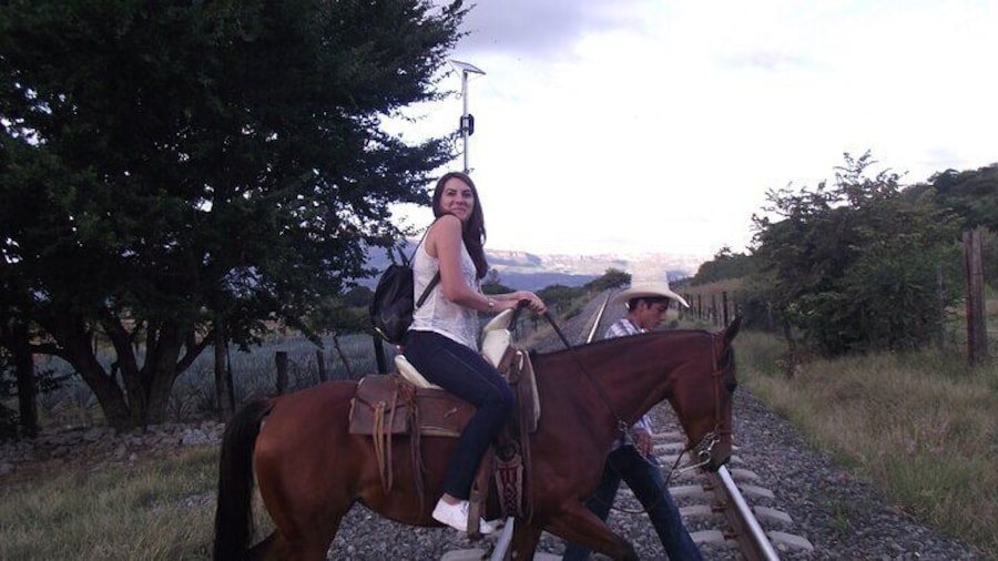 horseback riding agave Fiels