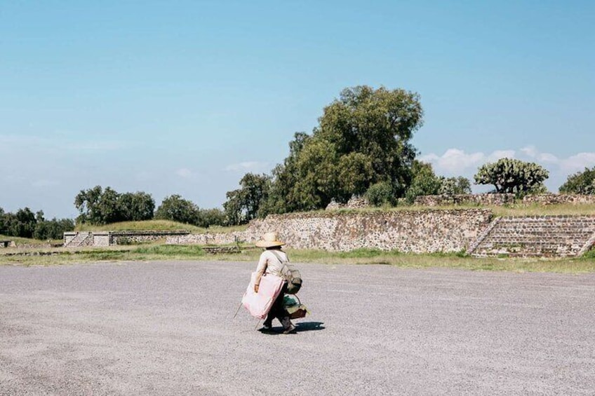 Excursion to Teotihuacán, Tlatelolco and Guadalupe Sanctuary.