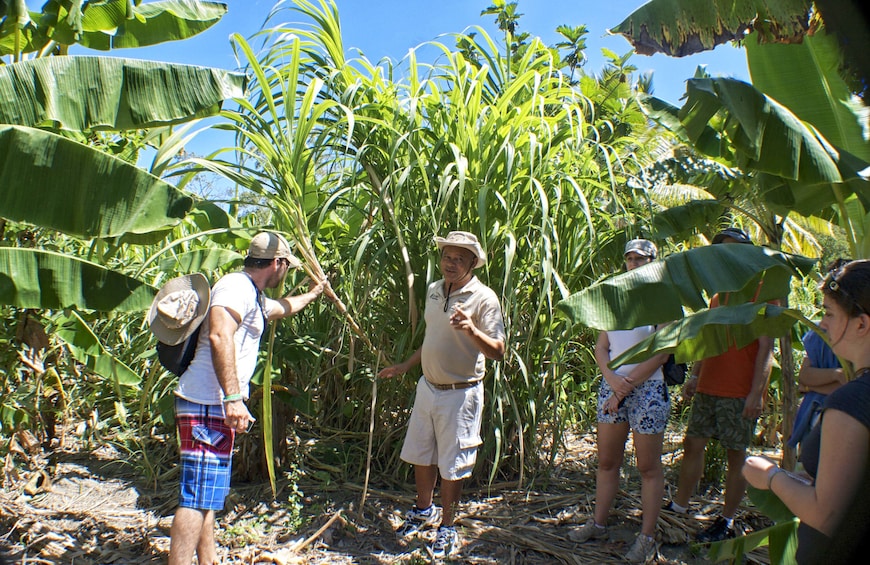 Countryside Tour With Horseback Riding, Beach Stop & Lunch