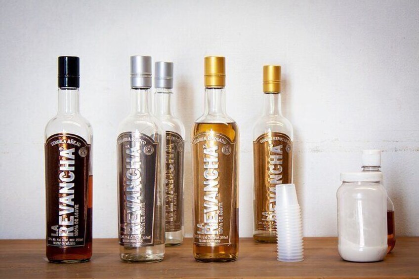 Enjoy the more than 7 tastings of the Tequilas and spirits of the Tequilera house.