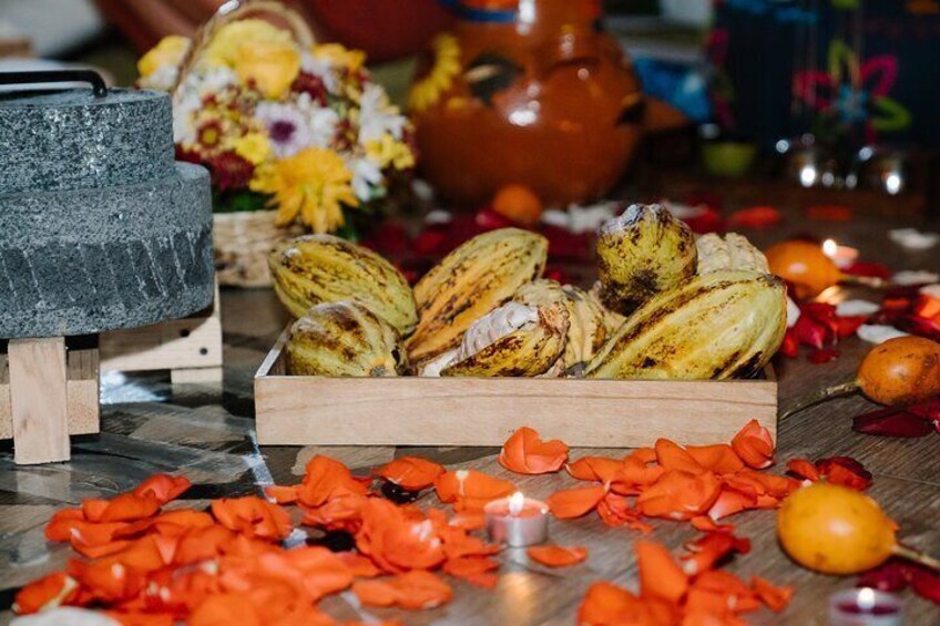 Cacao Ceremony in Mexico City