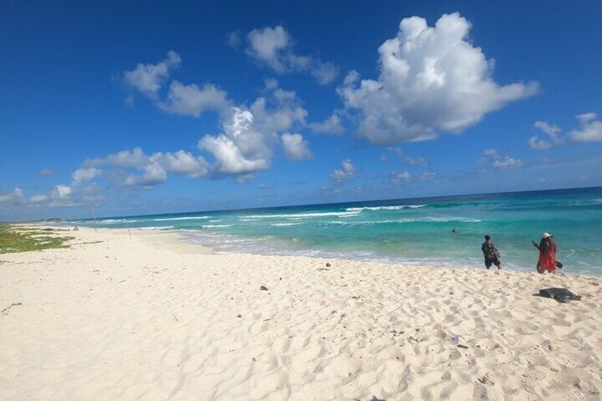 Island Tour With Private Driver