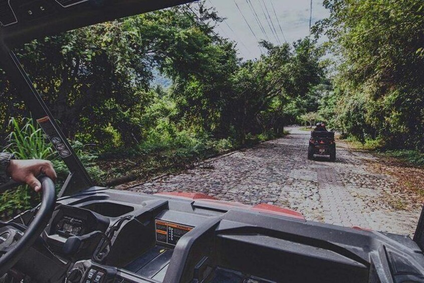Jungle ATV Adventure (Single)