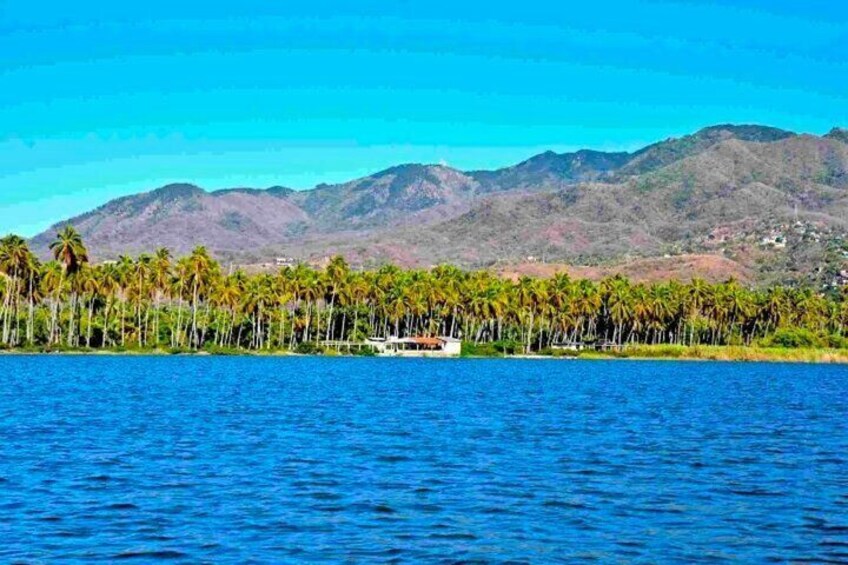 Acapulco Shore Excursion: Coyuca Lagoon Cruise