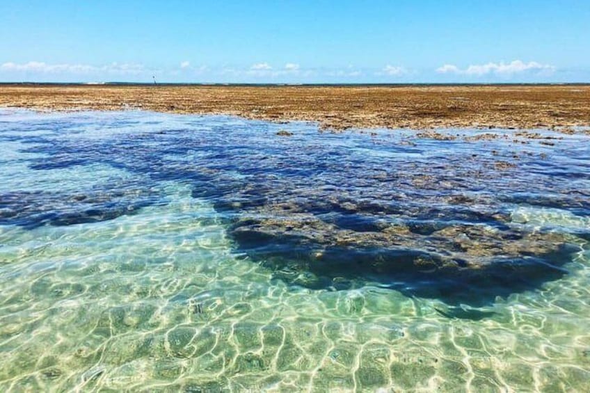 São Miguel dos Milagres Tour from Maceió by Edvantur