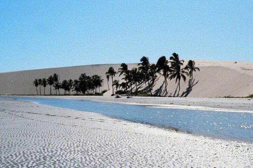 Jericoacoara Tour in a Full Day - Leaving Fortaleza by Girafatur