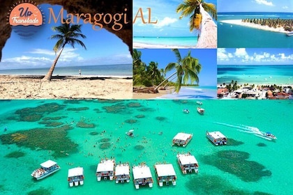 Tour To Maragogi AL