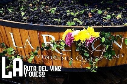 Private Tour: Wine and Cheese Route from CDMX (All included)