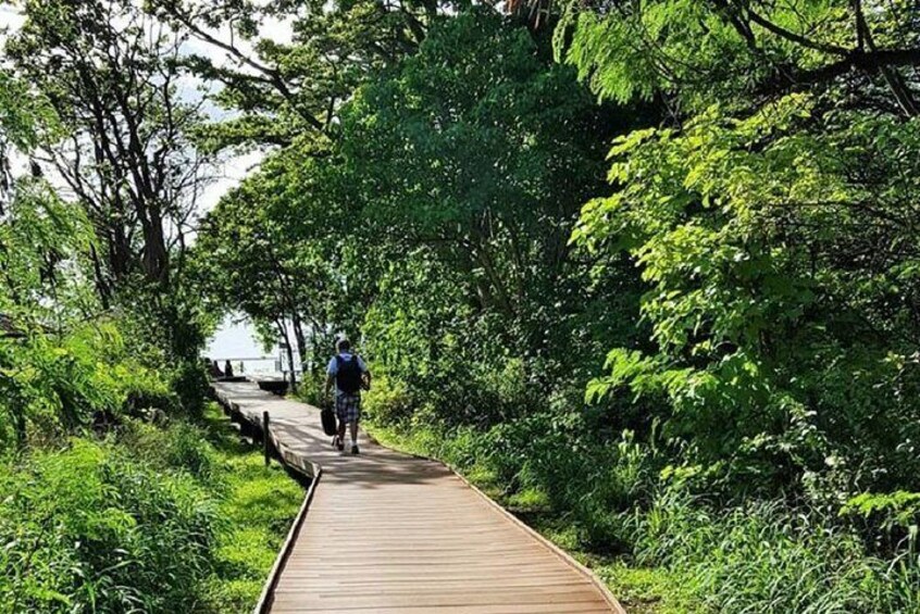 Dolphins Bay Trail
