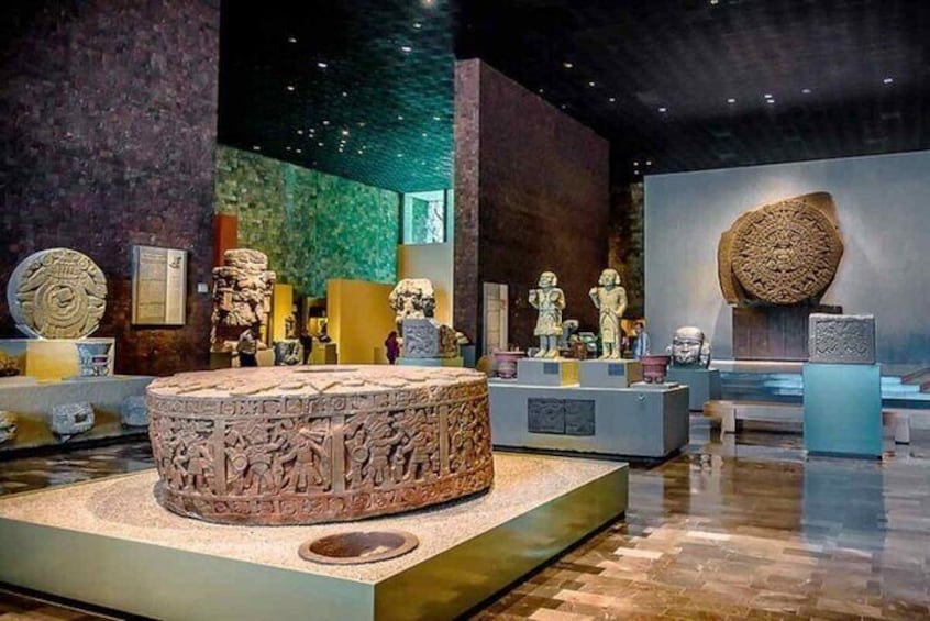 Museum of Anthropology