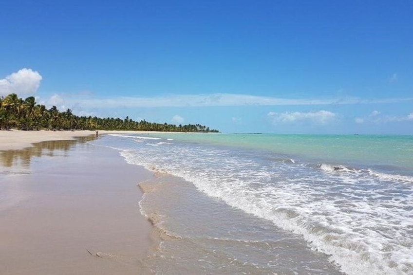 Tour to Hibiscus Beach Club from Maceió by Edvantur