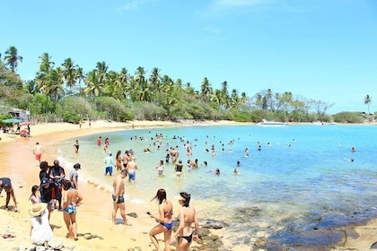 Santo Aleixo Island Tour from Maragogi by Top Tours