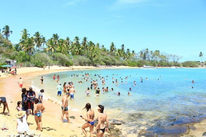 Santo Aleixo Island Tour from Maragogi by Top Tours