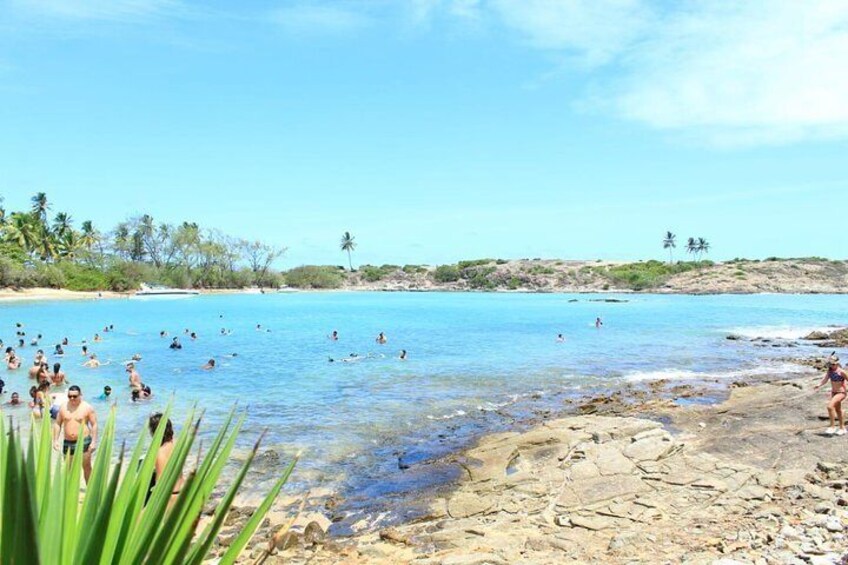 Santo Aleixo Island Tour from Maragogi by Top Tours