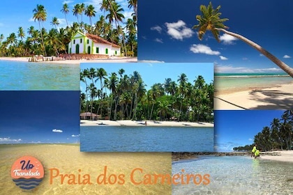 Carneiros Beach Tour