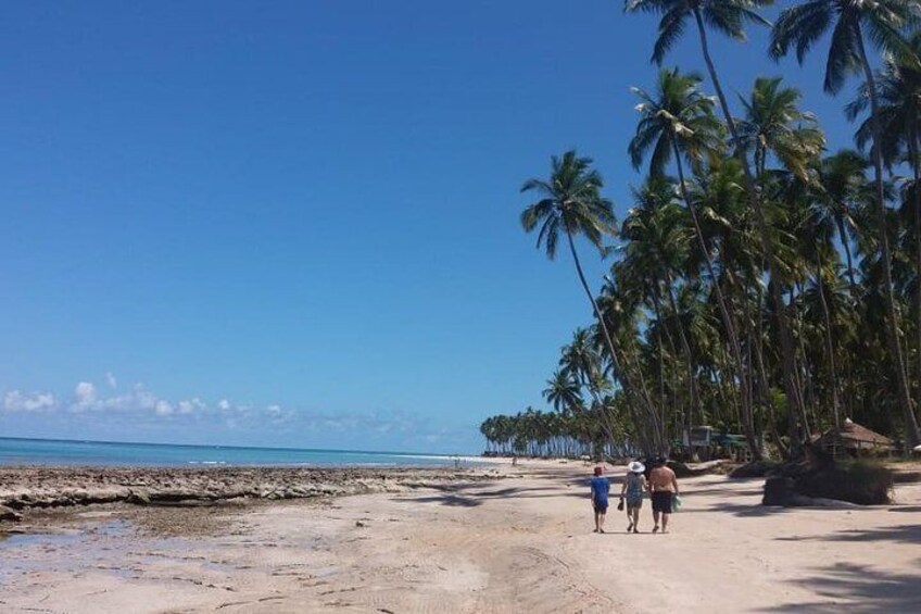 Aries Beach Tour from Maragogi by Top Tours