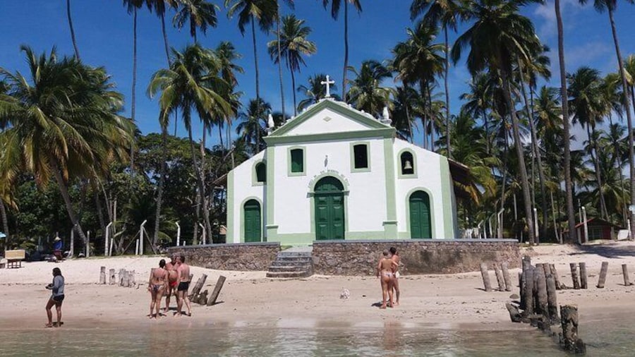 Aries Beach Tour from Maragogi by Top Tours