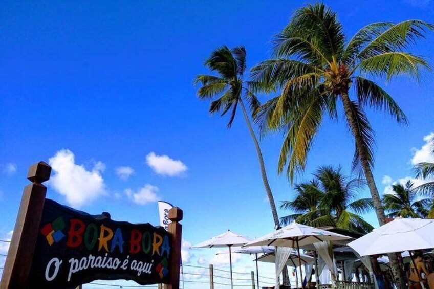 Aries Beach Tour from Maragogi by Top Tours