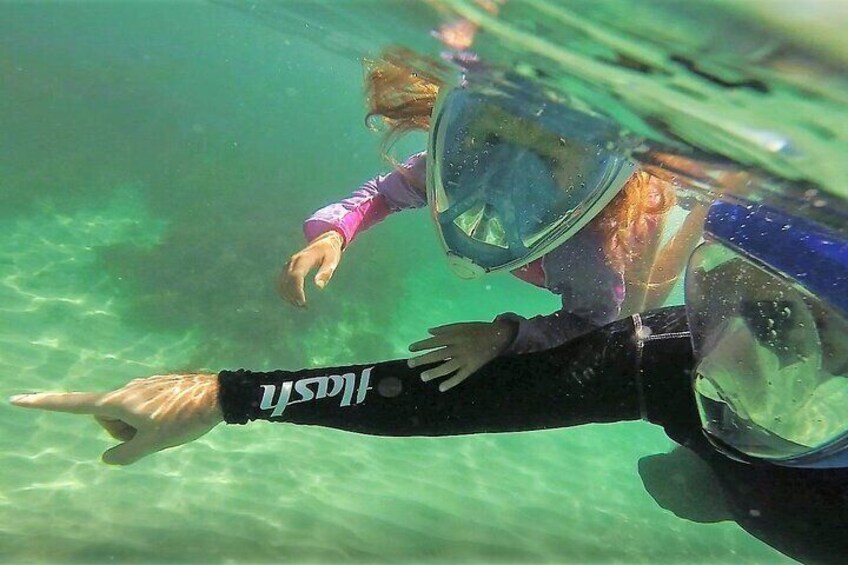 Aqua Aventura - diving for families
