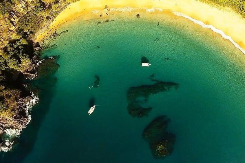 Baia do Sancho Boat Tour